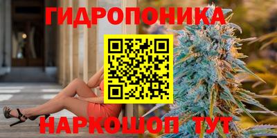 сатива Краснознаменск