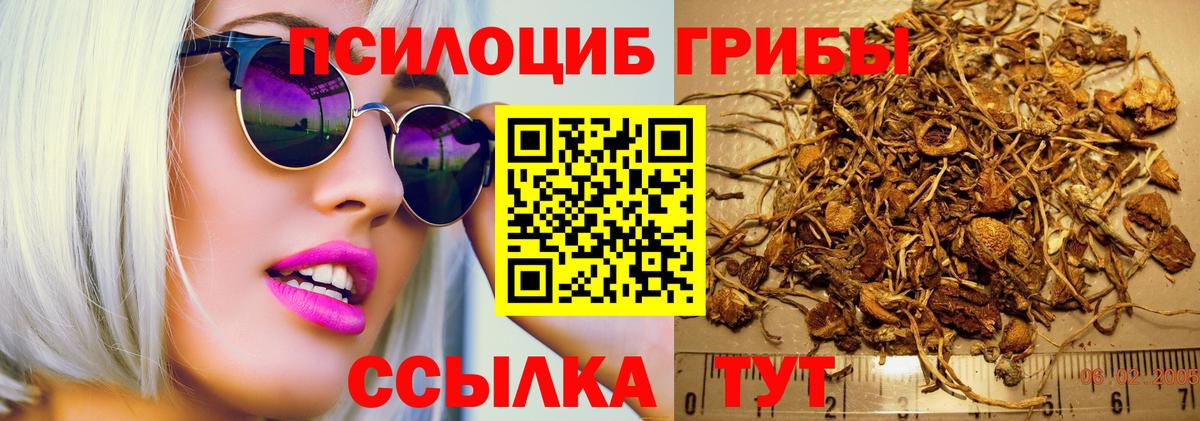 Кохма  Галлюциногенные грибы GOLDEN TEACHER  Вход с VPN 
