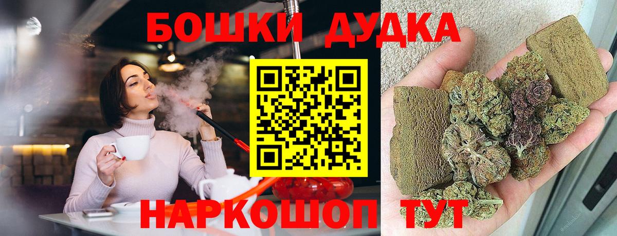 Конопля индика Кохма